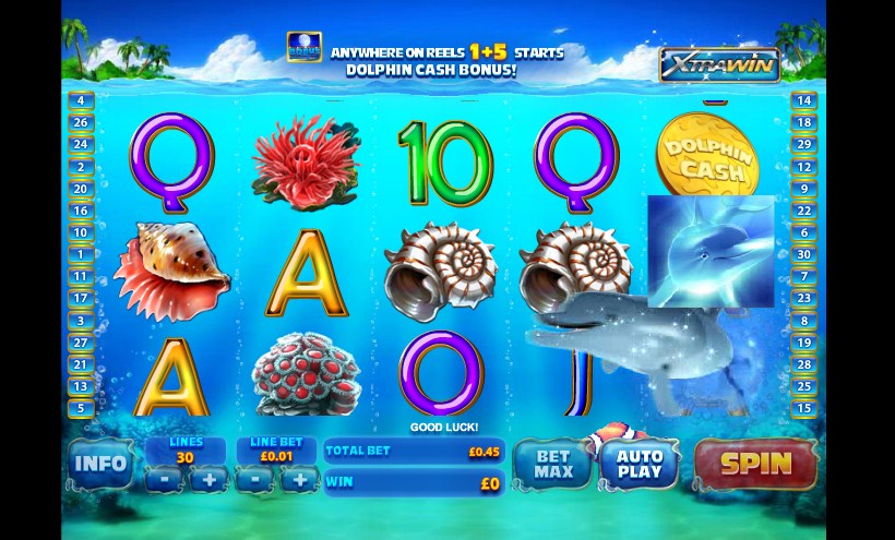 bally slot machine dolphin tale