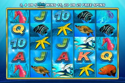 play dolphin slots