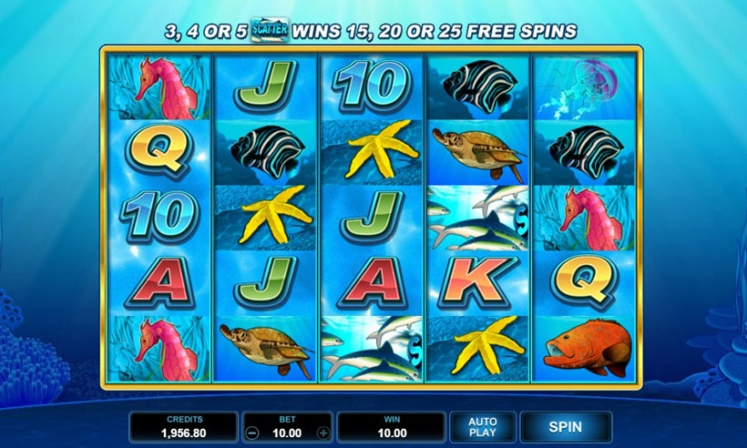dolphin online casino slot