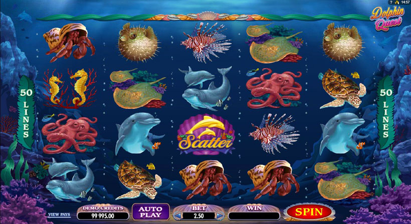 dolphin quest slot